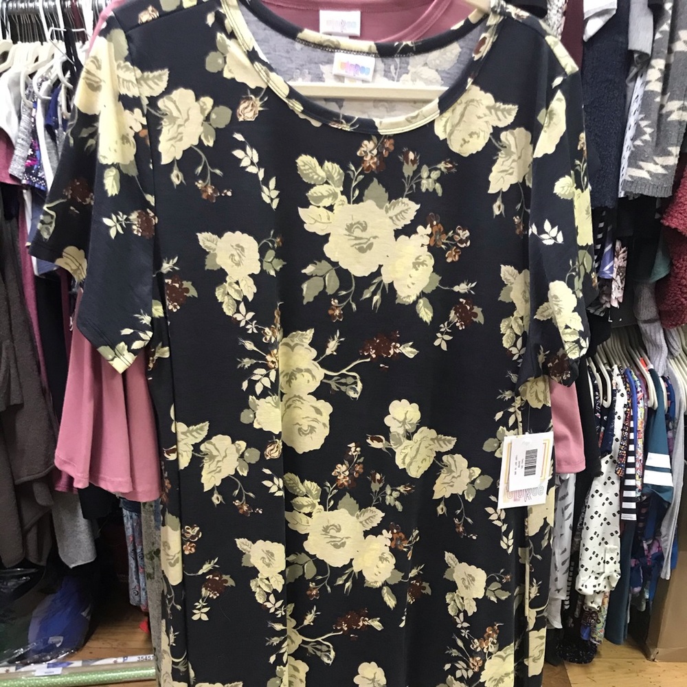 Brand new with tags Lularoe Carly - 3xl